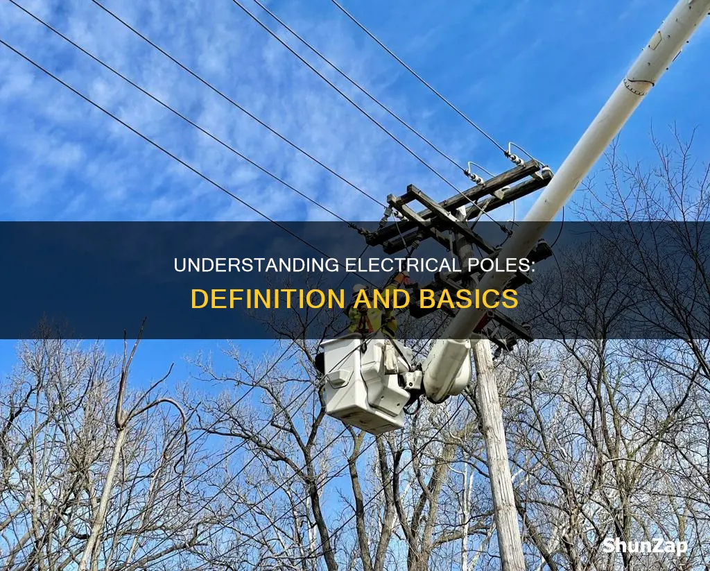 what is a pole in electrical terms
