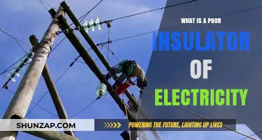 Insulating Materials: Poor Conductors of Electricity