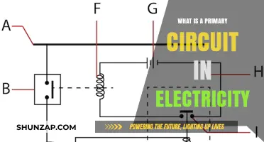 Understanding Primary Circuits: Electricity Basics
