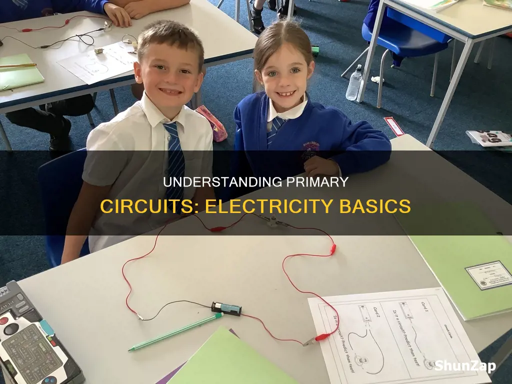 what is a primary circuit in electricity