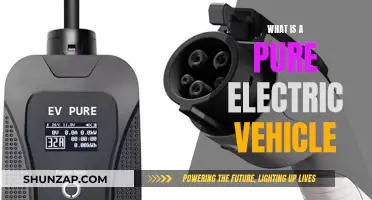 Unveiling the Power of Pure Electric Vehicles: A Comprehensive Guide