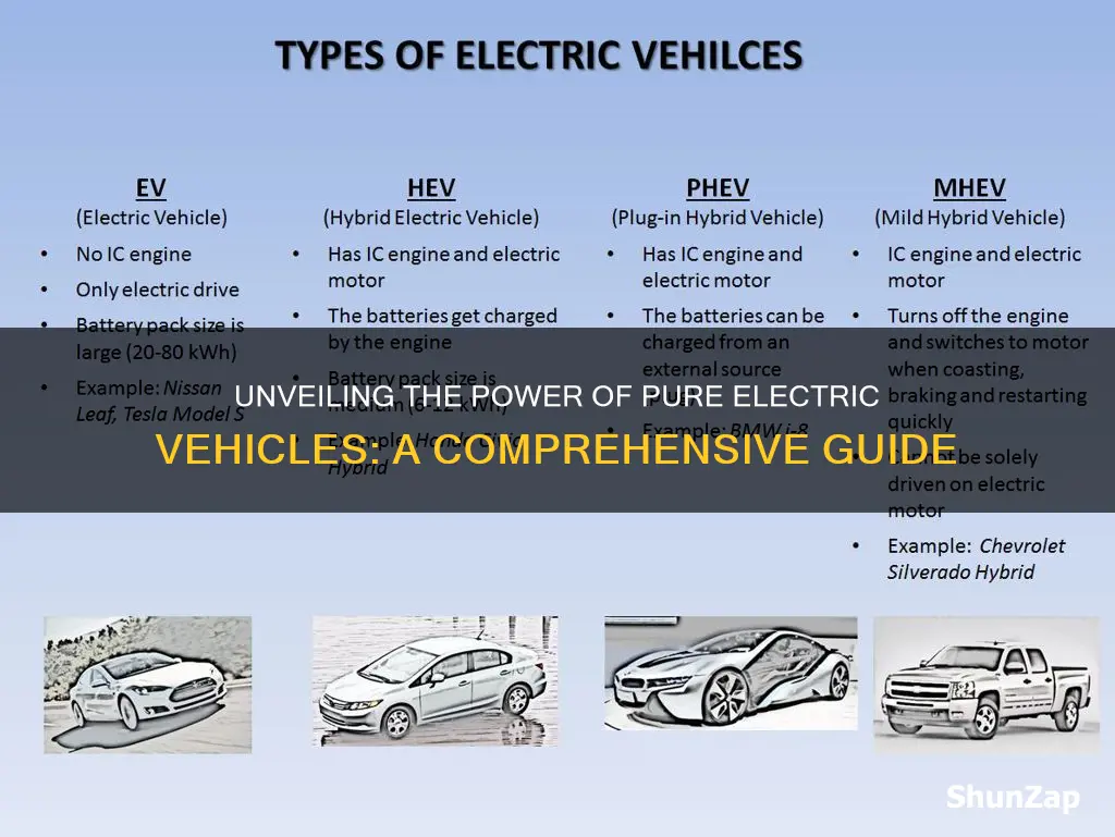 what is a pure electric vehicle