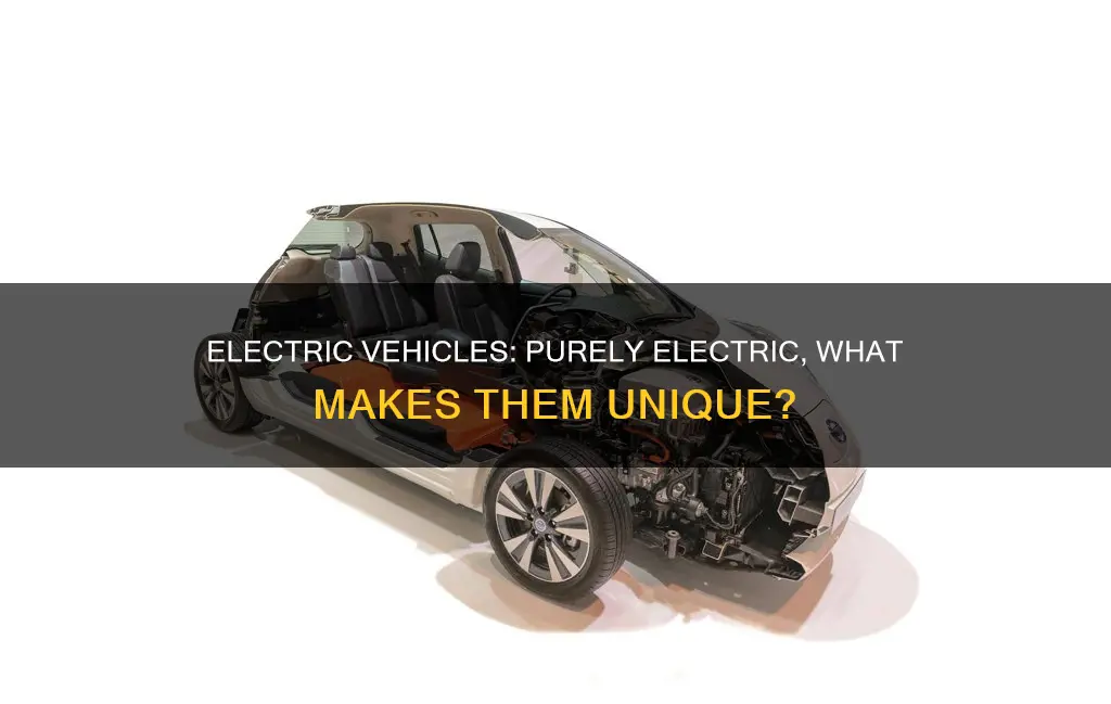 what is a pure electric vehicle