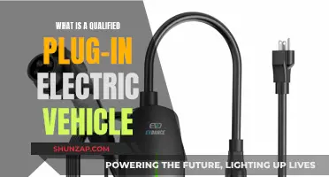 Unlocking the Secrets of Qualified Plug-in Electric Vehicles