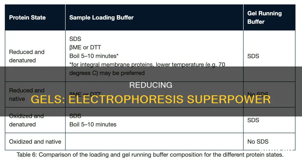 what is a reducing condition gel electro