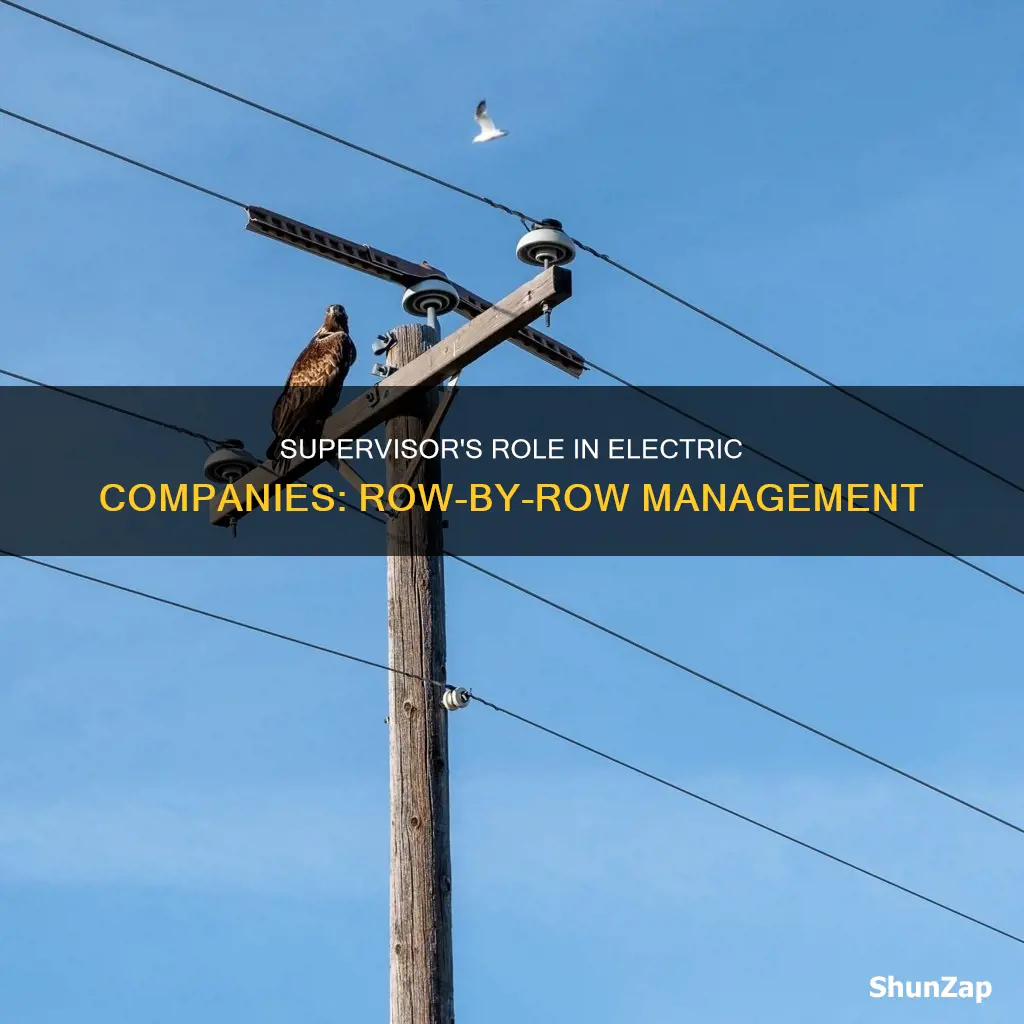 what is a row supervisor electric company