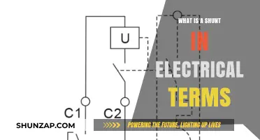 Shunt Basics: Electrical Diversion Explained