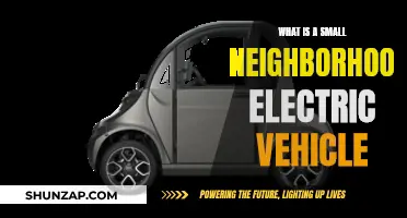 Exploring the Benefits of Neighborhood Electric Vehicles