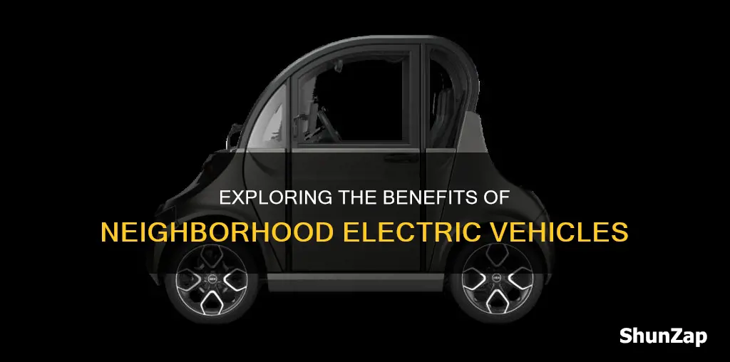 what is a small neighborhood electric vehicle