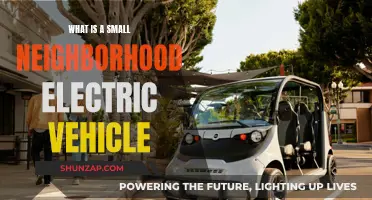 Small Neighborhood Electric Vehicles: The Future of Urban Commuting
