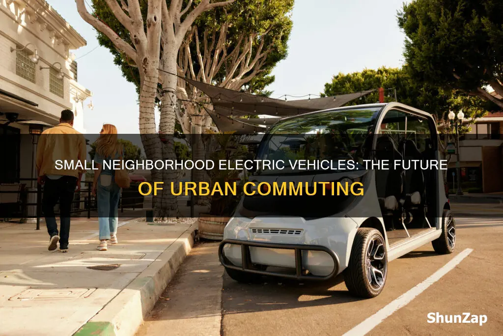 what is a small neighborhood electric vehicle