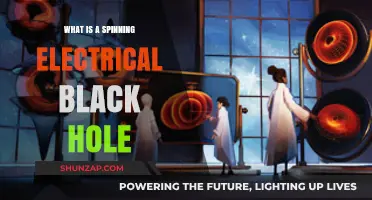 Spinning Black Holes: Electric Mystery