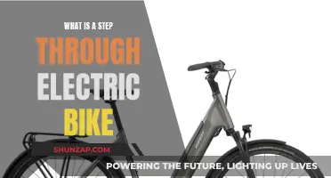 Step-Through Electric Bikes: Easy, Comfortable, and Fun