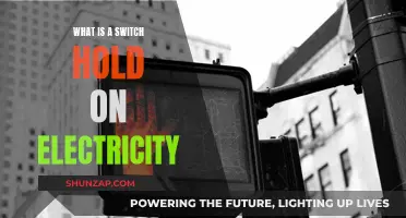 Understanding Switch Holds: Electricity Access Delays and Solutions