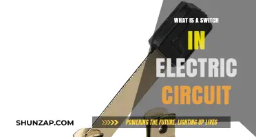 Switches: Circuit Control and Power Flow
