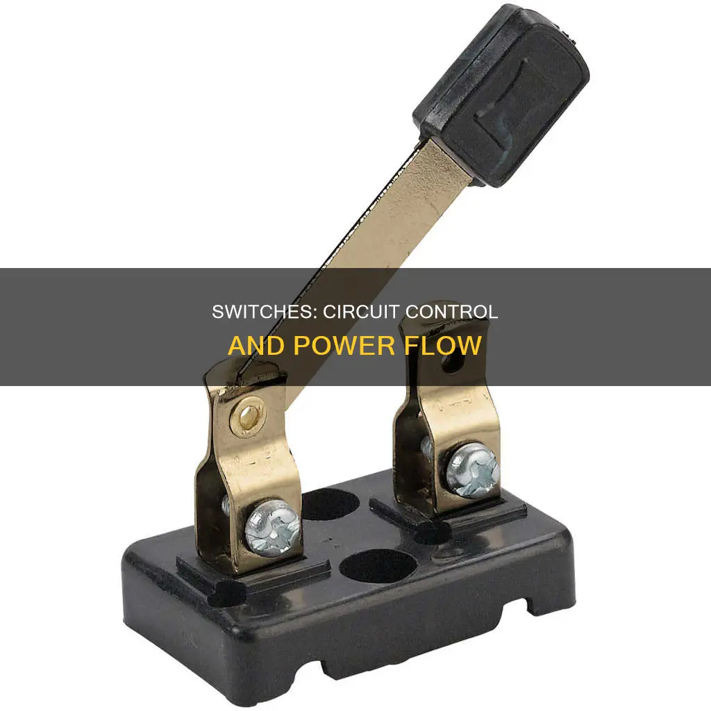 what is a switch in electric circuit