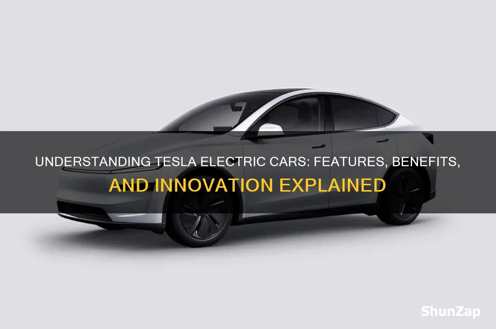 what is a tesla electric car