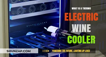 Wine Coolers: Thermo-Electric Technology