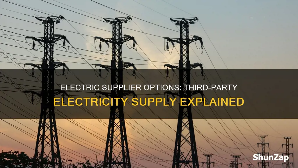 what is a third party electric supplier