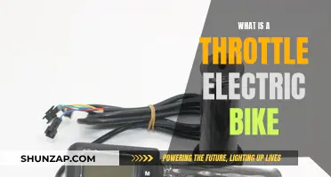 Electric Bike Throttle: How Does It Work?