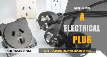 Electrical Plug Types: Understanding the Type A Standard