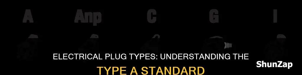 what is a type a electrical plug