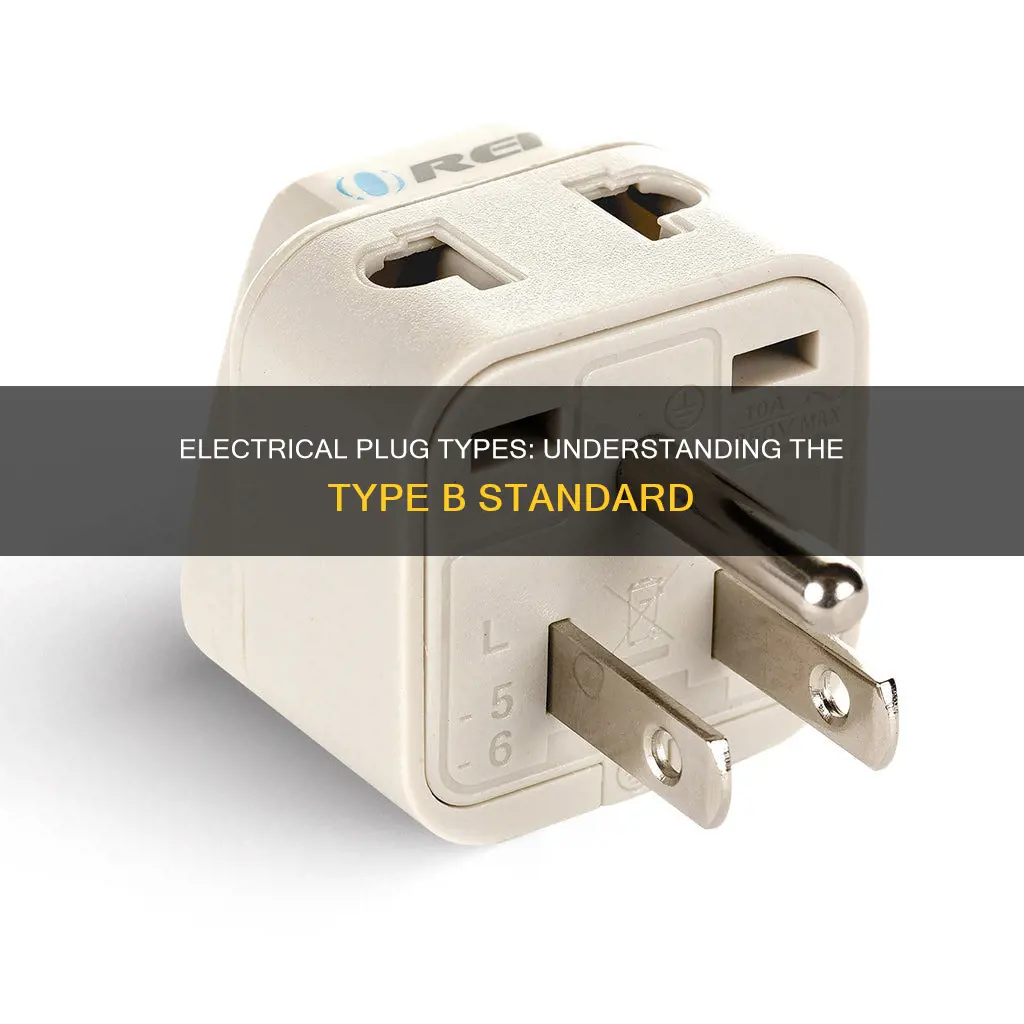 what is a type b electrical plug