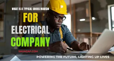 Unveiling the Electrical Industry's Gross Margin: A Comprehensive Guide