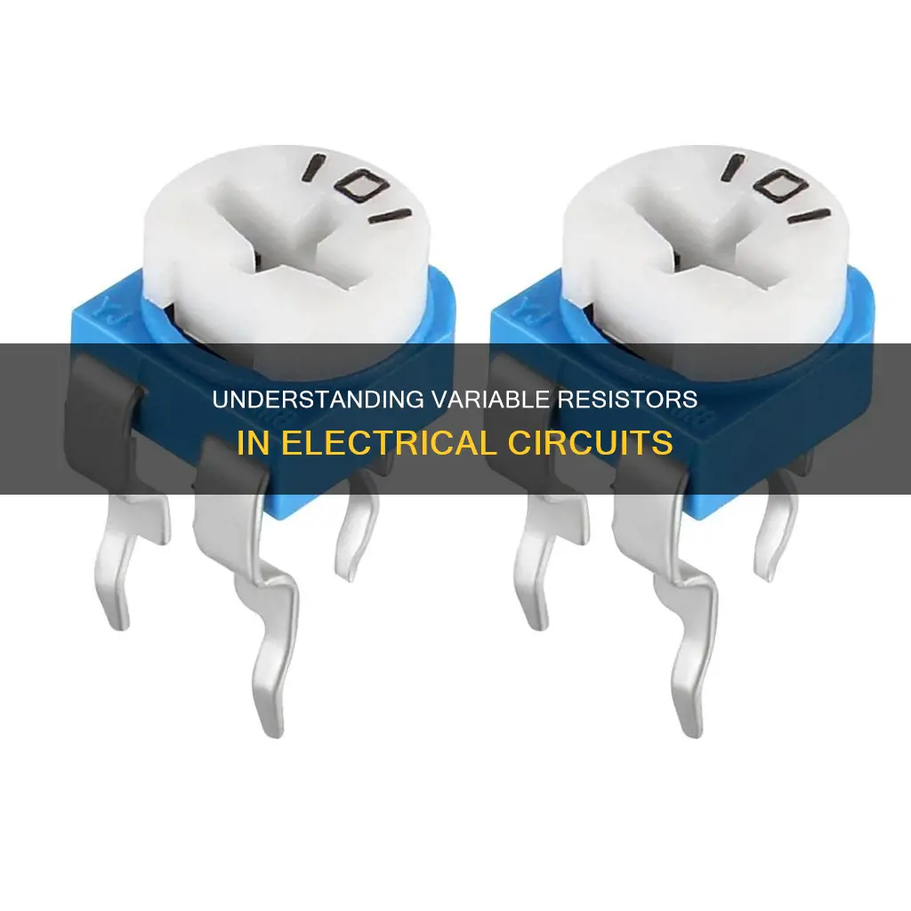 what is a variable resistor in electricity