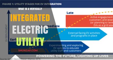 Electric Utility: Vertical Integration Explained