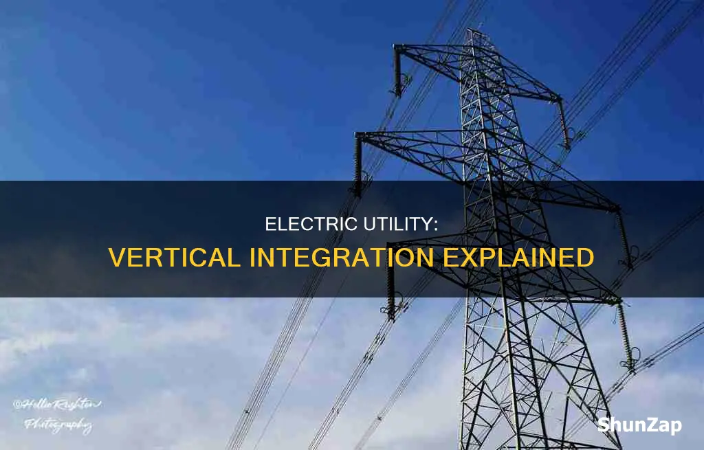 what is a vertically integrated electric utility