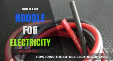 Electricity's Wet Noodle: A Flexible, Conductive Solution