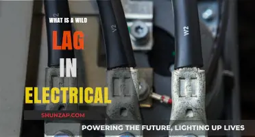 The Mystery of Wild Lag in Electrical Systems