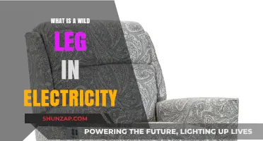 Understanding the Wild Leg in Electrical Circuits
