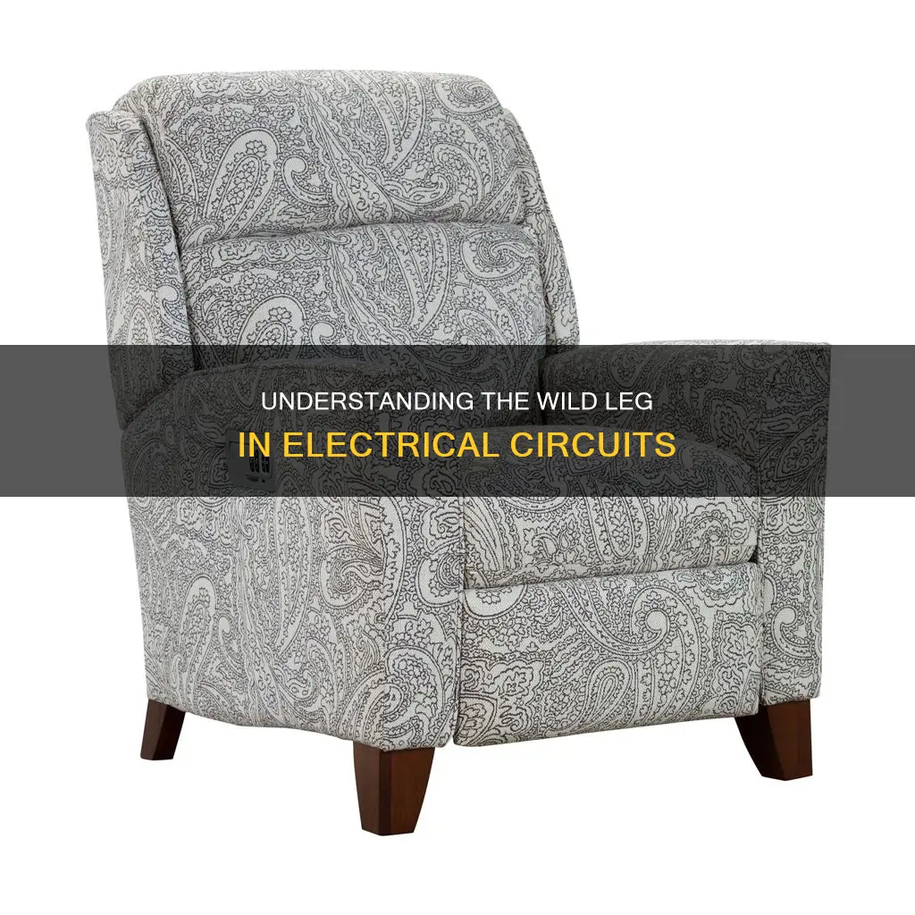 what is a wild leg in electricity