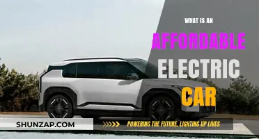 Affordable Electric Cars: Eco-Friendly Options for Every Budget