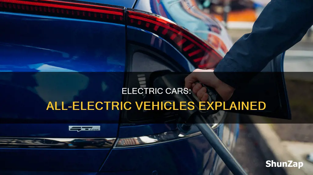 what is an all electric vehicle