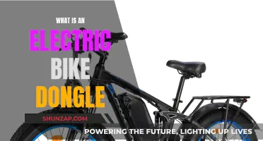 Electric Bike Dongle: What's the Deal?