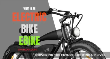 Electric Bike: The Future of Cycling?