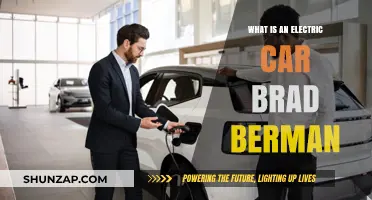 Understanding Electric Cars: Insights from Expert Brad Berman