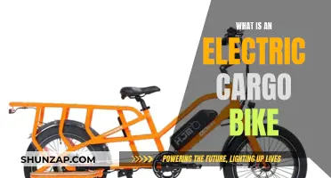 Electric Cargo Bikes: Revolutionizing Urban Transportation and Delivery