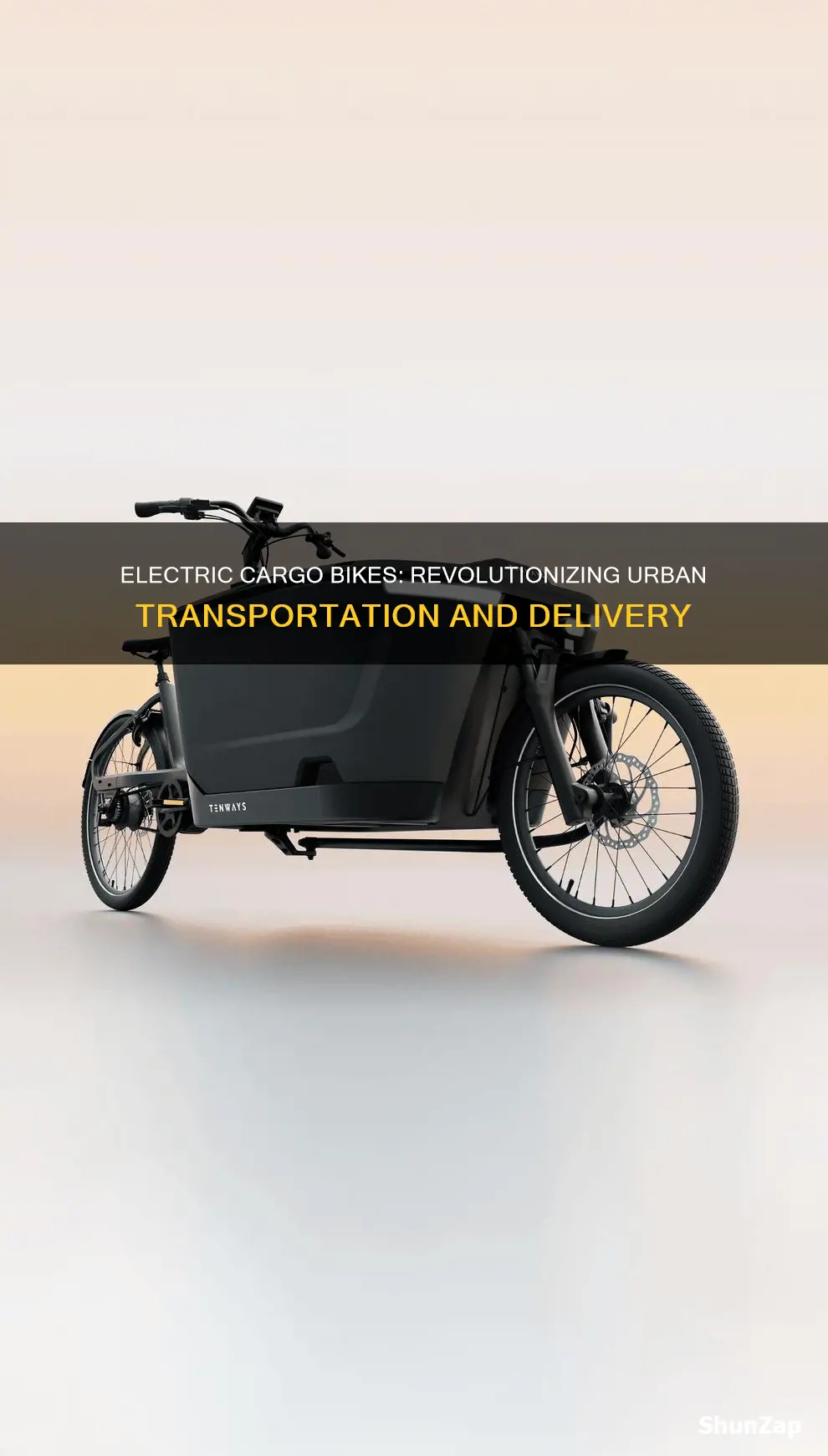 what is an electric cargo bike