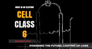 Electric Cells: Powering Our World