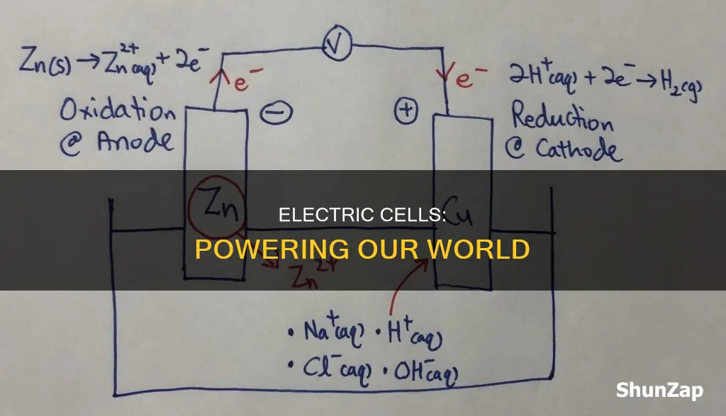 what is an electric cell class 6