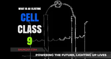 Electric Cells: Powering Our World