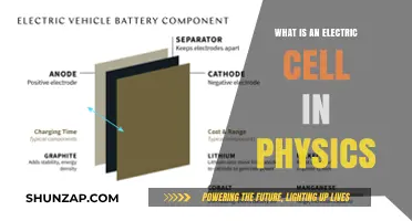 Electric Cell: Physics' Powerhouse Explained