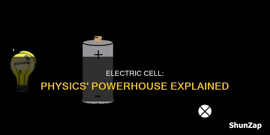what is an electric cell in physics