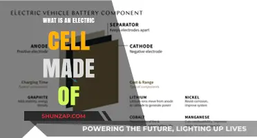 The Electric Cell: Components and Functionality