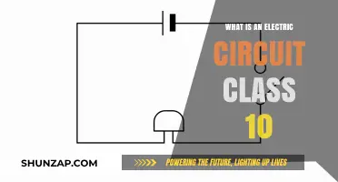 Understanding Electric Circuits: A Class 10 Primer