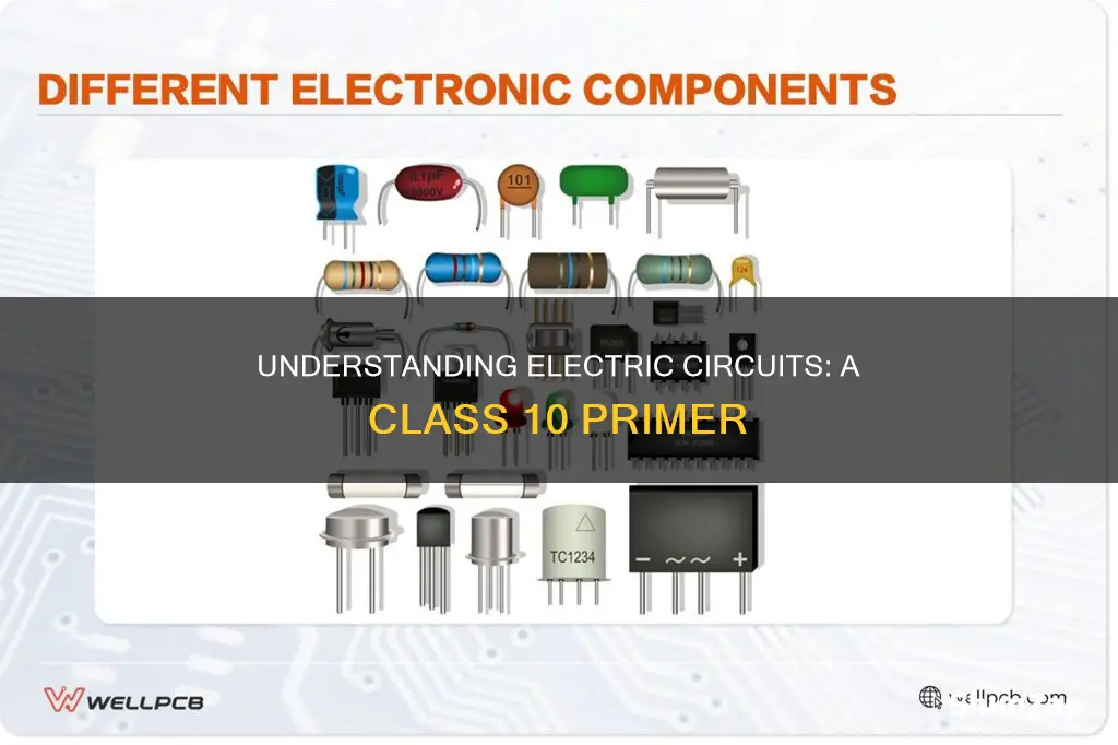 what is an electric circuit class 10